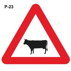 Paso de animales domésticos