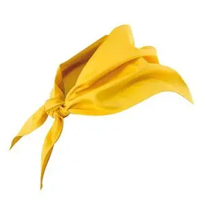 Pañuelo para cocinero