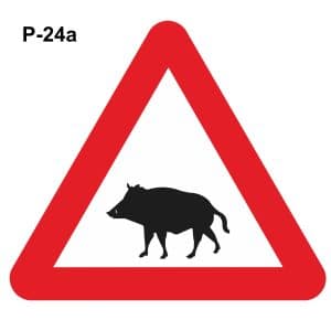 Peligro paso de jabalíes