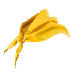 Pañuelo para cocinero