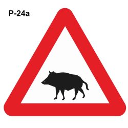 Peligro paso de jabalíes